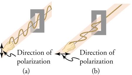 This figure has two panels arranged side by side. The left panel, labeled '(a)', shows a hand holding one end of a wave moving in a vertical plane and passing through a vertically oriented slit. Next to the hand is a double-headed vertical arrow labeled 'Direction of polarization'. The right panel, labeled '(b)', shows a hand holding one end of a wave moving in a horizontal plane and passing through a horizontally oriented slit. Next to the hand is a double-headed horizontal arrow labeled 'D
