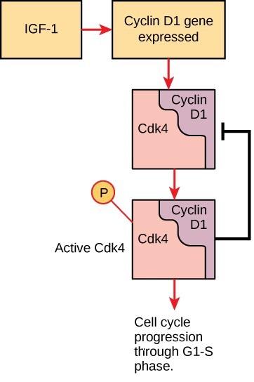 942d67c2eb290839d91f66555a5f550aa7b3d9d0