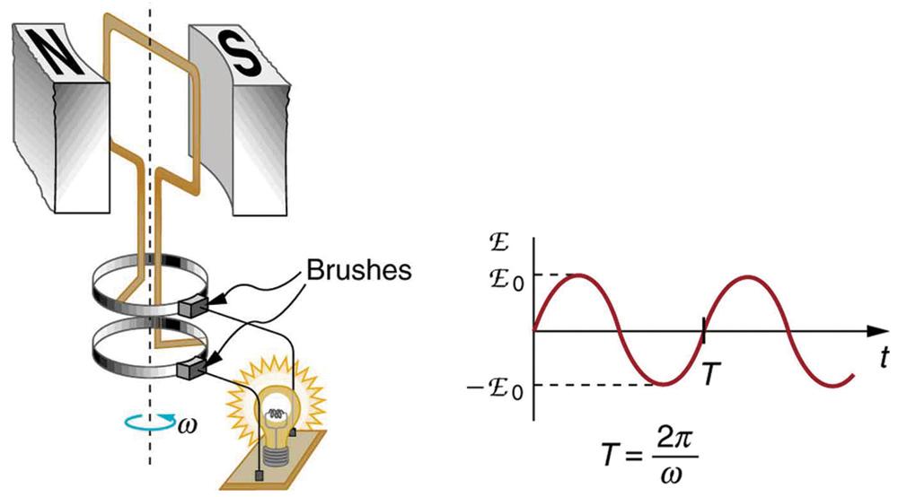 The first part of the figure shows a schematic diagram of a single coil electric generator. It consists of a rotating rectangular loop placed between the two poles of a permanent magnet shown as two rectangular blocks curved on side facing the loop. The magnetic field B is shown pointing from the North to the South Pole. The two ends of this loop are connected to the two small rings. The two conducting carbon brushes are kept pressed separately on both the rings. The loop is rotated in the field with an a