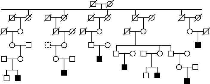 Pedigree chart for autism features a series of squares, representing males, and a series of circles, representing females. Vertical and horizontal lines connect the squares and circles to show lineage from the first parental generation to succeeding generations. Individuals affected with autism are represented by images of circles or squares that are filled solid. For deceased individuals, the circles and squares are shown with a diagonal line drawn through them.