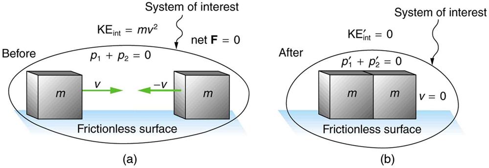 The system of interest contains two equal masses with mass m. One moves to the right and the other moves to the left with the same magnitude of velocity represented by V. Due to this their total momentum and net force remains zero. The internal kinetic energy is mv power 2. After collision the system of interest has no net velocity, no total momentum and no internal kinetic energy. This is true for all inelastic collisions.