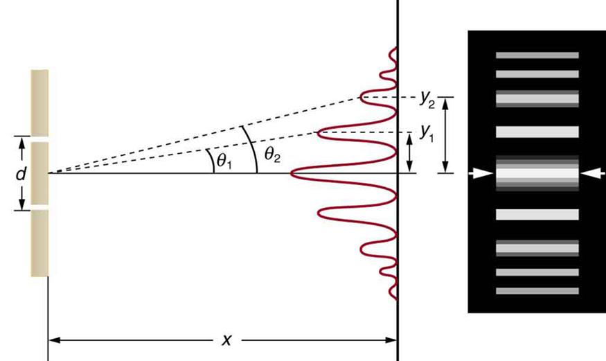 The figure consists of two parts arranged side-by-side. The diagram on the left side shows a double slit arrangement along with a graph of the resultant intensity pattern on a distant screen. The graph is oriented vertically, so that the intensity peaks grow out and to the left from the screen. The maximum intensity peak is at the center of the screen, and some less intense peaks appear on both sides of the center. These peaks become progressively dimmer upon moving away from the center, and are symmetric