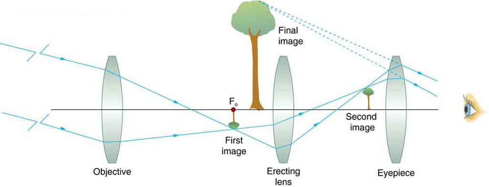 A ray diagram from left to right depicts a concave objective lens, a small inverted image of a tree, a magnified upright final image of tree, an erecting concave lens, a small upright image of a tree, concave lens as an eyepiece, and an eye to view on the same optical axis. Rays from a distant object strike the edges of the objective lens, converge at the focus of the focal point, form a small inverted image of the object and pass through the erecting lens, again forming the upright small image of the obj