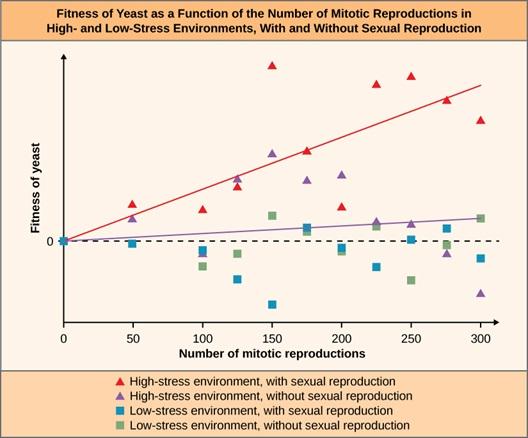 The line graph is titled Fitness of Yeast as a function of the number of mitotic reproductions in High and low stress environments with or without sexual reproduction. The key at the bottom states that red tringles are high-stress environments with sexual reproduction, purple triangles are high-stress environments without sexual reproduction, blue squares are low-stress environment with sexual reproduction and green squares are low stress environments without sexual reproduction. The x-axis is labeled Num