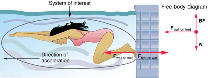 A swimmer is underwater and is facing to the left. Her feet are on a wall and she is using her feet to get ready to push forward off the wall. She will accelerate in a direction opposite to the force of her feet pushing on the wall. This opposition is the result of Newton’s third law of motion, which dictates that the wall exerts a force on the swimmer that is equal in magnitude but that acts in the direction opposite to the force that the swimmer exerts on the wall. A free body diagram is shown to illu