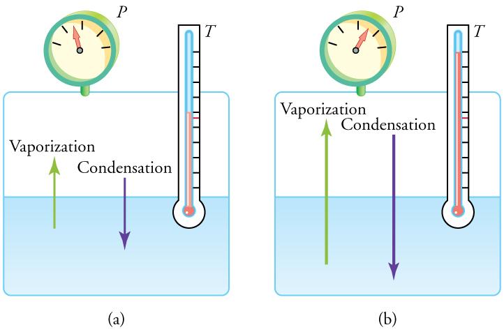 Figure a shows a closed system containing a liquid and a gas. A thermometer with one end in the liquid indicates an unspecified temperature, and a pressure gauge indicates an unspecified pressure. A vector from the liquid to the gas represents the rate of vaporization, and a vector from the gas into the liquid represents the rate of condensation. The two vectors are equal in length, illustrating that the two rates are equal. Figure b is essentially the same as figure a, except that the pressure, temperatu