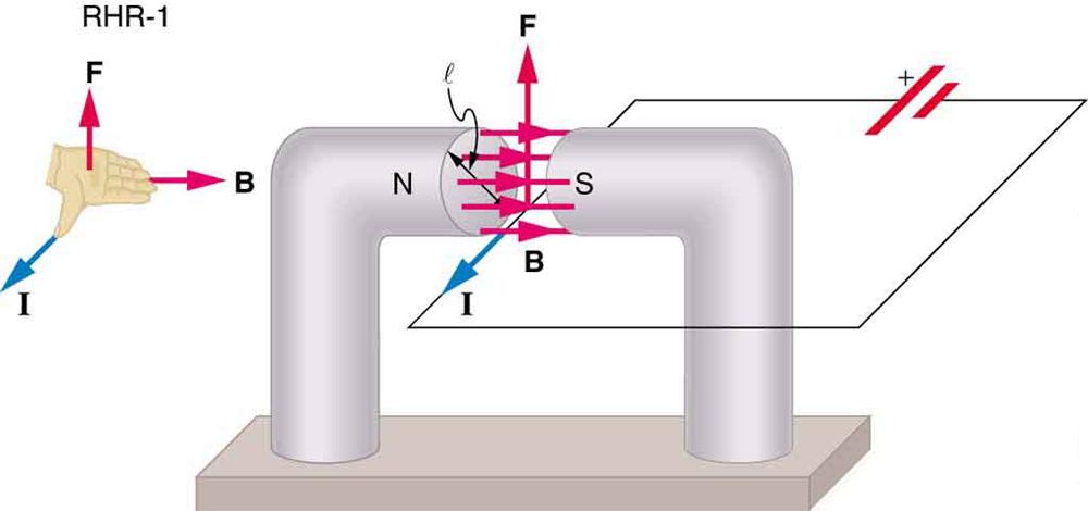 A diagram showing a circuit with current I running through it. One section of the wire passes between the north and south poles of a magnet with a diameter l. Magnetic field B is oriented toward the right, from the north to the south pole of the magnet, across the wire. The current runs out of the page. The force on the wire is directed up. An illustration of the right hand rule 1 shows the thumb pointing out of the page in the direction of the current, the fingers pointing right in the direction of B, an
