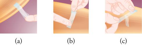 This image has three parts. Part a shows two pieces of sticky tape, with one stuck over the other, and with the lower tape attached to the edge of an arc-shaped object. The two tapes are slightly separated from each other at one end. In part b, someone's hand holds the two pieces of tape from the end where they are separated, while a finger touches the other end. Part c shows two hands pulling the two pieces of tape apart.