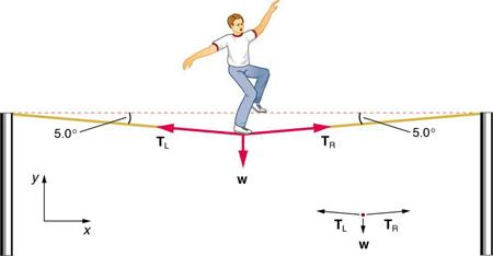 A tightrope walker is walking on a wire. His weight W is acting downward, shown by a vector arrow. The wire sags and makes a five-degree angle with the horizontal at both ends. T sub R, shown by a vector arrow, is toward the right along the wire. T sub L is shown by an arrow toward the left along the wire. All three vectors W, T sub L, and T sub R start from the foot of the person on the wire. In a free-body diagram, W is acting downward, T sub R is acting toward the right with a small inclination, and T 