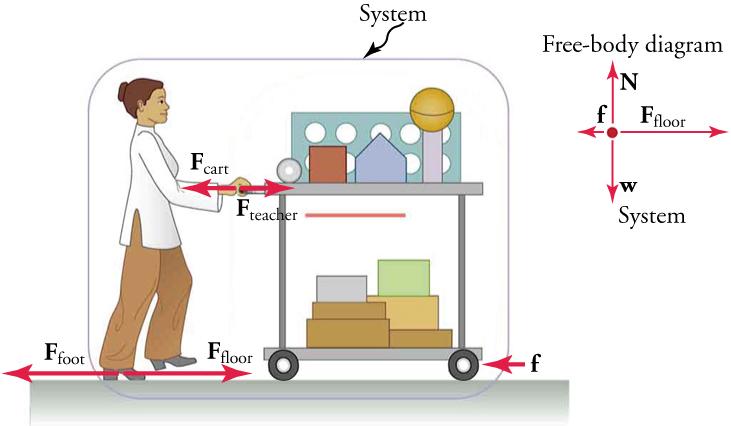 A teacher is standing and facing to the right. She is pushing a cart with various items on it including books and boxes. The teacher and cart are labeled, "System." A force vector labeled F teacher shows the force of the teacher's push on the cart and points to the right. A force vector of equal length labeled F cart show the force exerted by the cart and points to the left. A friction force vector at the bottom area of the cart points to the left. A force vector labeled F floor shows the force of the flo