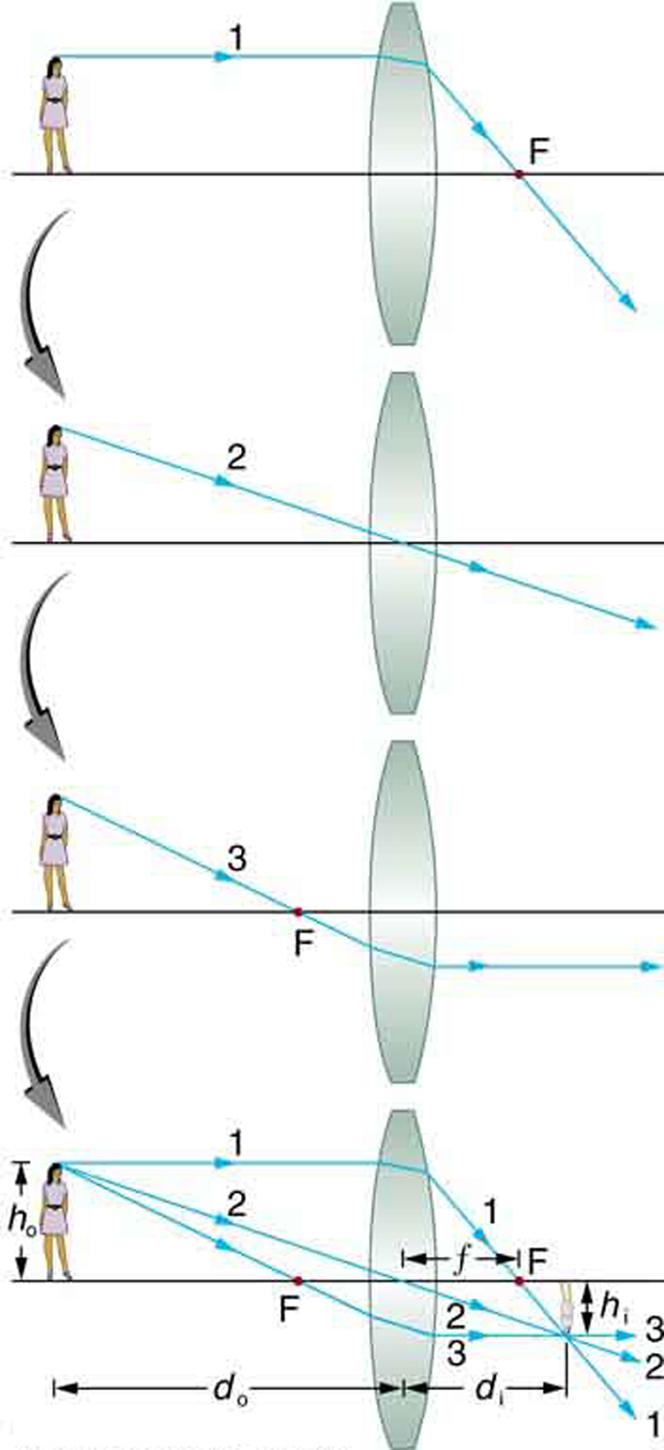 First of four images shows an incident ray 1 coming from an object (a girl ) placed on the axis. After refraction, the ray passes through F on other side of the lens. Second of four images shows an incident ray 2 passing through the center without any deviation. Third of four images shows an incident ray passing through F, which after refraction goes parallel to the axis. Fourth image shows a combination of all three rays, 1, 2, and 3, incident on a convex lens; after refraction, they converge or cross at