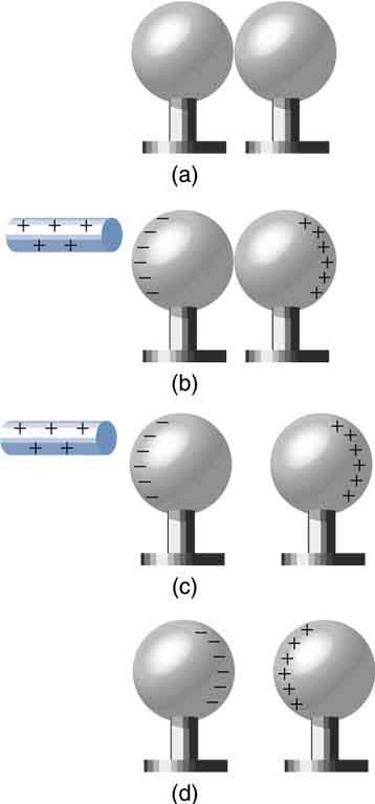 In part a, a pair of neutral metal spheres are in contact. In part b, a rod with positive signs is close to one surface of the sphere and the negative signs are shown on this surface toward the rod and positive signs are shown on the outermost face of the other sphere. In part c, the rod and the spheres are not in contact. The outermost surface of one sphere has negative signs and the outermost surface of another sphere has positive signs. In part d, the glass rod is not shown. The inner surfaces of the m