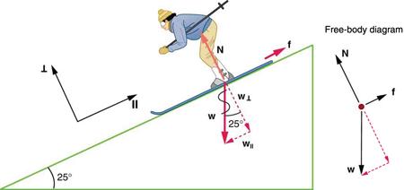 A skier is skiing down the slope and the slope makes a twenty-five degree angle with the horizontal. Her weight W, shown by a vector vertically downward, breaks into two components—one is W parallel, which is shown by a vector arrow parallel to the slope, and the other is W perpendicular, shown by a vector arrow perpendicular to the slope in the downward direction. Vector N is represented by an arrow pointing upward and perpendicular to the slope, having the same length as W perpendicular. Friction vect