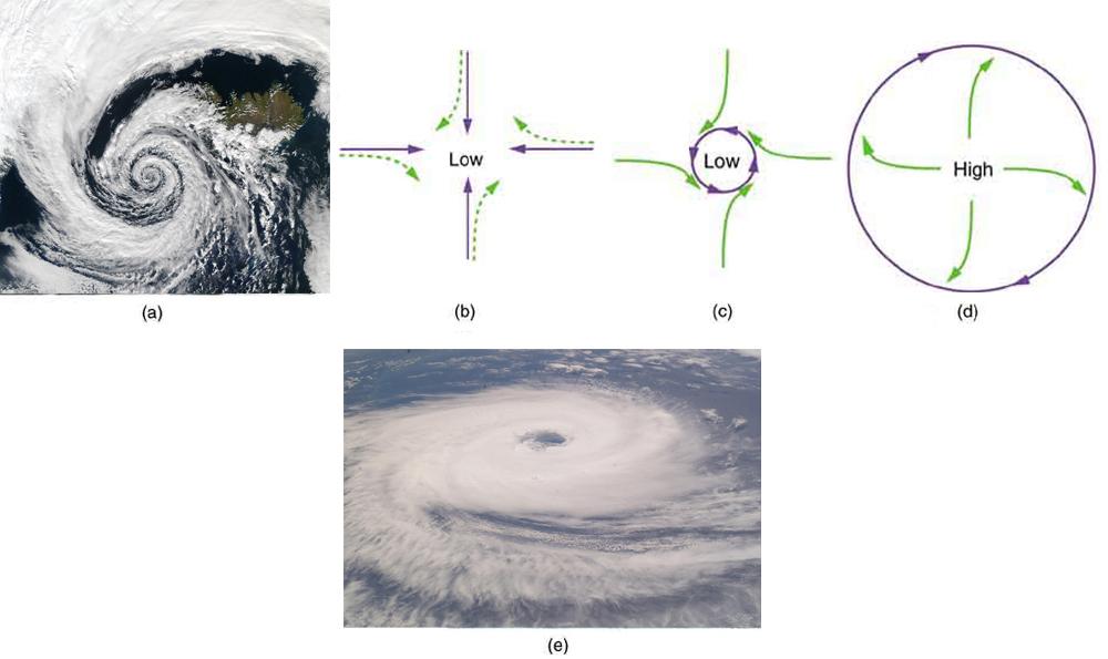 Figure a is a satellite photo of a hurricane rotating in counterclockwise direction. Figures b, c, and d are diagrams. In figure b, there are four arrows directed toward a low pressure zone at a point from North, East, West and South. Near each arrow there is a green dotted vector turned toward right at its arrow head which shows the direction of Coriolis force. In figure c, there is a small circle directed counter clockwise over the low pressure zone, which shows that the winds are deflected by Coriolis 