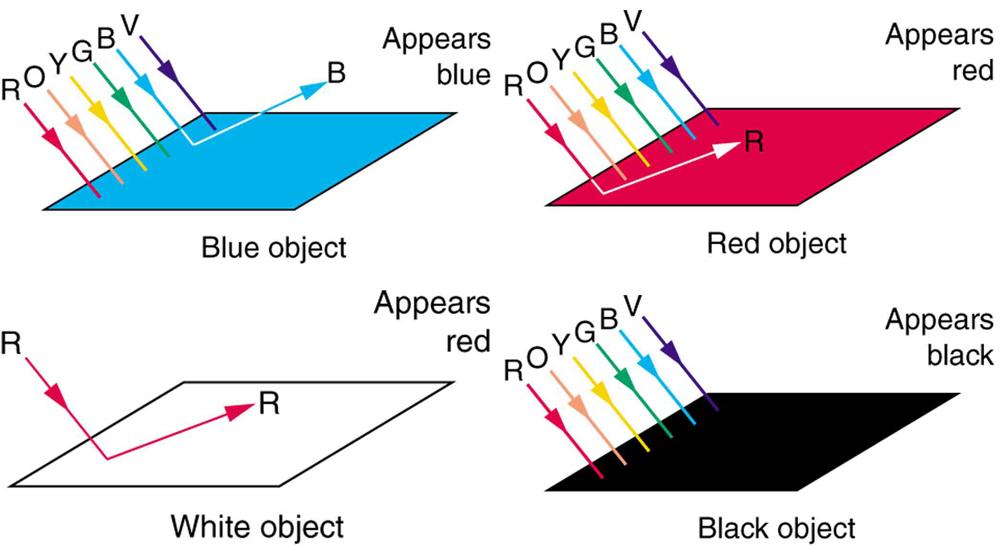 Four flat rectangular structures, named as Blue object, Red object, Black object, and White object are shown. The red, blue, and black objects are illuminated by white light shown by six rays of red, orange, yellow, green, blue, and violet. The blue rectangle is emitting blue ray and it appears blue. The red rectangle is emitting red ray and it appears red while the black rectangle has absorbed all colors and appears black. The white rectangle is illuminated only by red light and emits red ray but appears