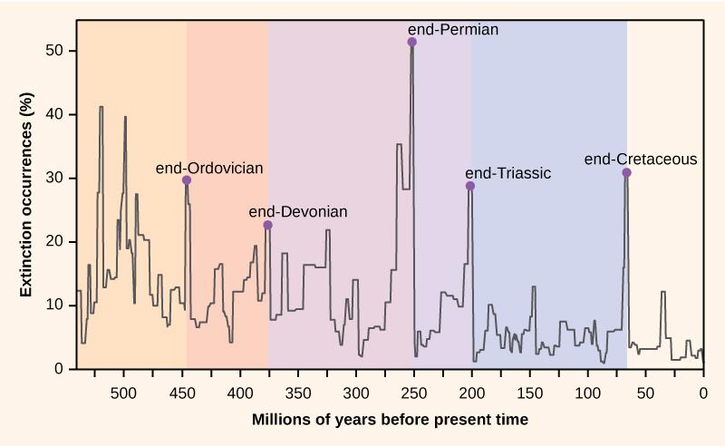 The graph plots percent extinction occurrences versus time in millions of years before present time, starting 550 million years ago. Extinction occurrences increase and decrease in a cyclical manner. At the lowest points on the cycle, extinction occurrences were between 2% and 5% percent. Spikes in the number of extinctions occurred at the end of geological periods: end-Ordovician, 450 million years ago; end-Devonian, 374 million years ago; end-Permian, 252 million years ago; end-Triassic, 200 million yea