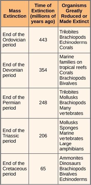 b8803100ff994ab95513f296e4f47a79892294af