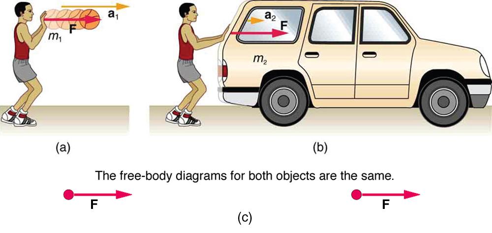 (a) A basketball player pushes the ball with the force shown by a vector F toward the right and an acceleration a-one represented by an arrow toward the right. M sub one is the mass of the ball. (b) The same basketball player is pushing a car with the same force, represented by the vector F towards the right, resulting in an acceleration shown by a vector a toward the right. The mass of the car is m sub two. The acceleration in the second case, a sub two, is represented by a shorter arrow than in the firs