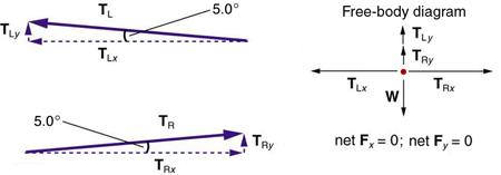 A vector T sub L making an angle of five degrees with the negative x axis is shown. It has two components, one in the vertical direction, T sub L y, and another horizontal, T sub L x. Another vector is shown making an angle of five degrees with the positive x axis, having two components, one along the y direction, T sub R y, and the other along the x direction, T sub R x. In the free-body diagram, vertical component T sub L y is shown by a vector arrow in the upward direction, T sub R y is shown by a vect