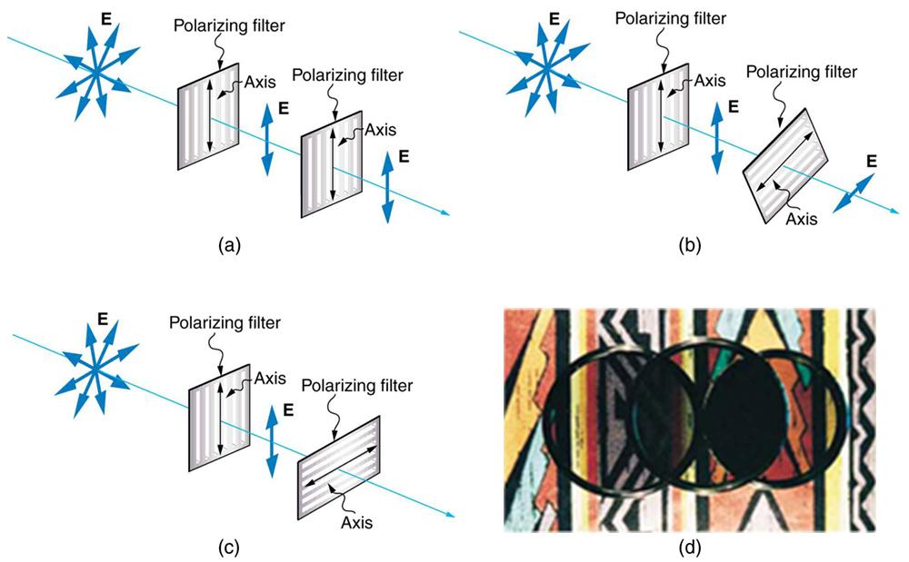 This figure has four subfigures. The first three are schematics and the last is a photograph. The first schematic looks much as in the previous figure, except that there is a second polarizing filter on the axis after the first one. The second polarizing filter has its lines aligned parallel to those of the first polarizing filter (i e, vertical). The vertical double headed arrow labeled E that emerges from the first polarizing filter also passes through the second polarizing filter. The next schematic is