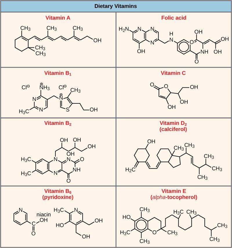 Shown are the molecular structures for Vitamin A, folic acid, Vitamin B1, Vitamin C, Vitamin B2, Vitamin D2, Vitamin B6, and Vitamin E.