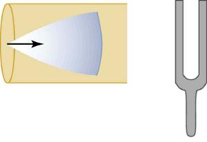 The vibration from a tuning fork reflects back off the closed end of the tube.