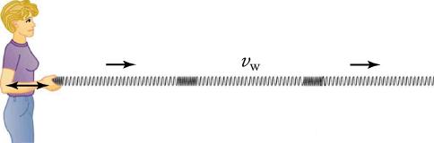 A woman stretches and compresses a slinky horizontally, creating longitudinal waves that propagate horizontally away from her and disturbing the slinky horizontally as well.