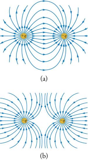 This figure has two parts, each of which displays two small circles and numerous curved arrows. In Part a, the circle on the left is marked 'plus q' and the one on the right is marked 'minus q'. Numerous curved arrows emanate from the circle on the left, and many of them terminate on the circle on the right. In Part b, both circles are marked 'minus q'. Numerous curved arrows coming from outside these circles terminate on them. Between the two circles is a gap, because the arrows terminating o