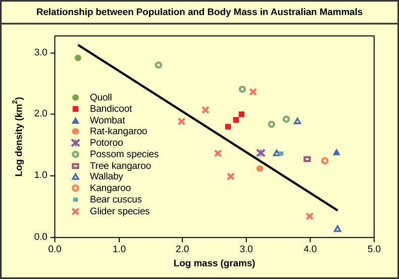 Graph plots log density in kilometers squared versus log body mass in grams. The values are inversely proportional, so that density decreases linearly with increasing body mass.