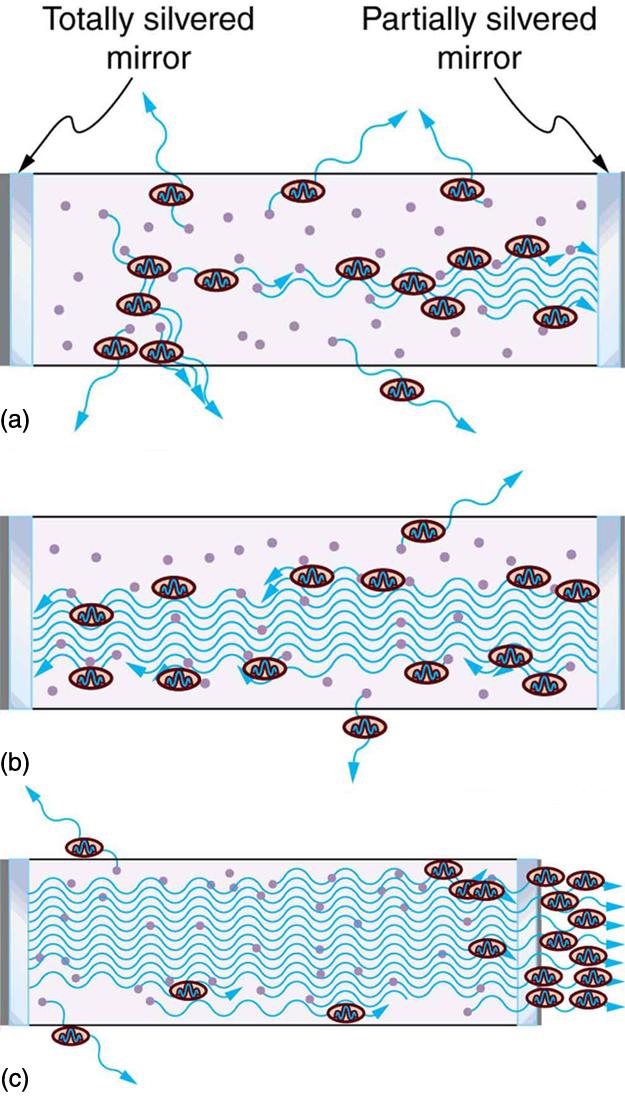 There are three schematic figures showing the construction of a laser. The first figure shows two mirrors. One is a totally silvered mirror on left side and one partially silvered mirror on right side. Thus spontaneous emission begins with some photons escaping and others stimulating further emissions. The next figure shows an increase in stimulated emission by reflection of photons by mirrors. The final figure shows an increased number of stimulated photons escaping the partially silvered mirror on the r