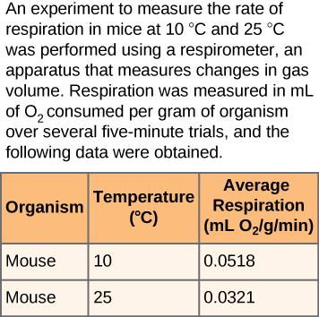 Data table has three columns and three rows. The data in the table give the average respiration in milliliters of oxygen per gram of an organism per minute for two different mice at two different temperatures, 10 degrees Celsius and 25 degrees Celsius. The mouse at 10 degrees Celsius has an average respiration of 0.0518, and the mouse at 25 degrees Celsius has an average respiration of 0.0321.