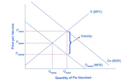 The graph shows the market for flu shots: flu shots will go under produced because the market does not recognize their positive externality. If the government provides a subsidy to consumers of flu shots, equal to the marginal social benefit minus the marginal private benefit, the level of vaccinations can increase to the socially optimal quantity of QSocial.