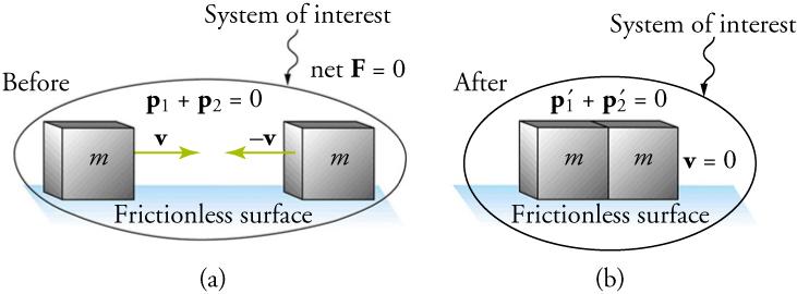 An illustration shows before and after diagrams of two boxes moving toward each other on a frictionless surface. Both boxes are labeled m. Both diagrams are labeled System of Interest. In the before diagram, a velocity vector, v, points from the left box to the right box. A second vector of equal magnitude, negative v, points from right box toward the left box. Two equations are shown: p one plus p two equals zero and net F equals zero. In the after diagram, the boxes are touching. The equations p one pri