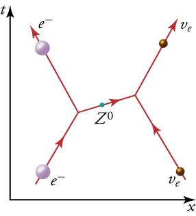 The diagram shows an electron and electron neutrino traveling upward toward each other. As the electron expels a Z boson to the right, it is projected upward and to the left. The boson is received by the electron neutrino on the right. As a result, this particle is projected upward and to the right.