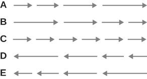The gray arrows are organized in 5 horizontal rows and labeled on the left edge as A, B, C, D, E. The left edge of the arrows on each row line up in a vertical line as well as the right edge of each row of arrows (the sum of all are the same length). The arrows in each of the rows are as follows: Row A's four arrows are pointing right: shortest, slightly longer, longer yet, longest. Row B's four arrows are pointing right: longest, slightly shorter, shorter yet, shortest (same direction but reverse order o