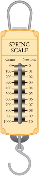 An illustration of a spring scale is shown. The left side shows grams and the right side shows Newtons.