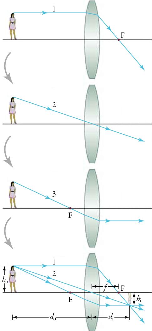 This series of drawings shows a woman standing to the left of a lens. Rays originate from the top of her head and pass through the lens at various angles to create a real image on the other side of the lens.