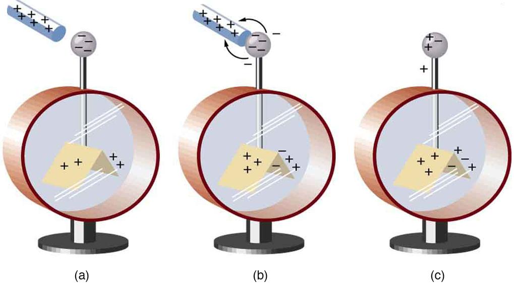 In part a, an electroscope is shown. A glass rod with positive signs is close to the tip of the electroscope which has negative signs on it and the leaves have has plus signs on it. In part b, the glass rod with positive sign is in contact with the tip of electroscope having negative signs. The negative signs are shown moving to the rod by arrows pointing toward the rod. The surfaces of the leaves now have both positive and negative charge. In part c, the glass rod is absent. The tip and the leaves of the