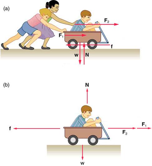 Two diagrams are shown. In the top diagram, two children are pushing a third child who is sitting in a wagon. The forces exerted by the children pushing the wagon are labeled F1 and F2 and point to the right in the direction that the wagon is facing. A friction force vector below the wagon points to the left. A Newton force vector below the wagon points upward. A weight force vector below the wagon points downward. In the bottom diagram, only the child in the wagon is shown. The F1 and F2 vectors are show