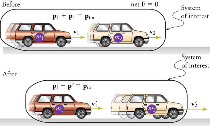 An illustration shows before and after diagrams of two cars, one in front of the other. The car in the back is labeled m one and the car in the front is labeled m two. Both diagrams are labeled System of Interest. In the before diagram, a velocity vector points from the car in the back to the car in the front. A second velocity vector of equal magnitude points from the car in the front to the right. Two equations are shown: p one plus p one equals p total and net F equals zero. In the after diagram, the v