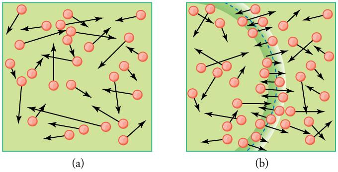 In part a of the figure, circles represent molecules distributed in a gas. Attached to each circle is a vector representing velocity. The circles have a random arrangement, while the vector arrows have random orientations and lengths. In part b of the figure, an arc represents a sound wave as it passes through a gas. The velocity of each molecule along the peak of the wave is roughly oriented parallel to the transmission direction of the wave.