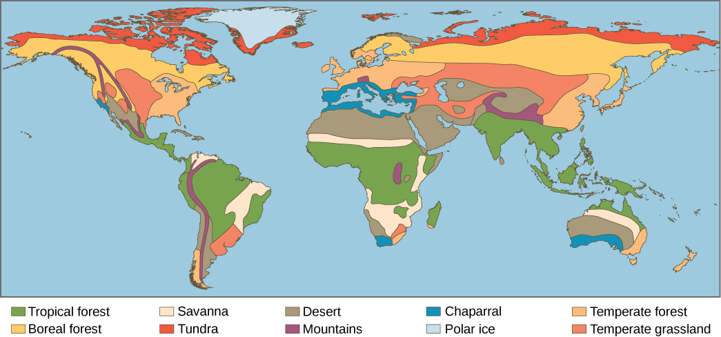This world map shows the eight major biomes, polar ice, and mountains. Tropical forests, deserts and savannas are found primarily in South America, Africa, and Australia. Tropical forests also dominate Southeast Asia. Deserts dominate the Middle East and are found in the southwestern United States. Temperate forests dominate the eastern United States, Europe, and Eastern Asia. Temperate grasslands dominate the midwestern United States and parts of Asia, and are also found in South America. The boreal fore