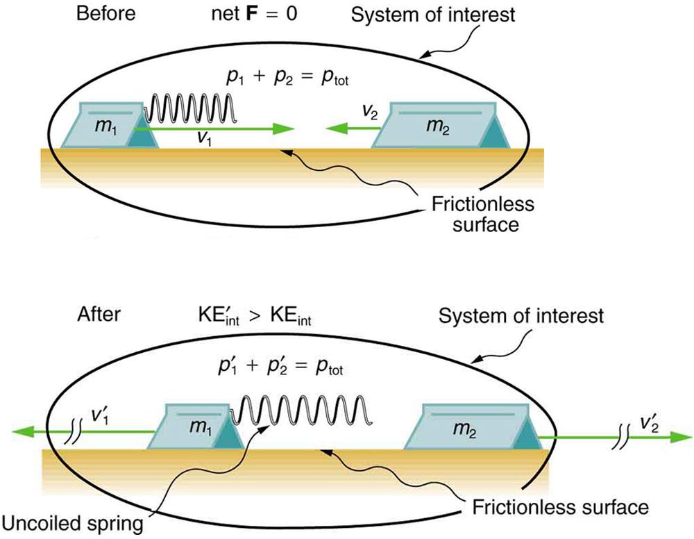 An uncoiled spring is connected to a glider with triangular cross sectional area of mass m 1 which moves with velocity v 1 toward the right. Another solid glider of mass m 2 and triangular cross sectional area moves toward the left with velocity V 2 on a frictionless surface. The total momentum is the sum of their individual momentum p 1 and p 2. After collision m 1 moves to the left with velocity V 1 prime and momentum p 1prime. M 2 moves to the right with velocity V 2 prime. Their individual momentum be