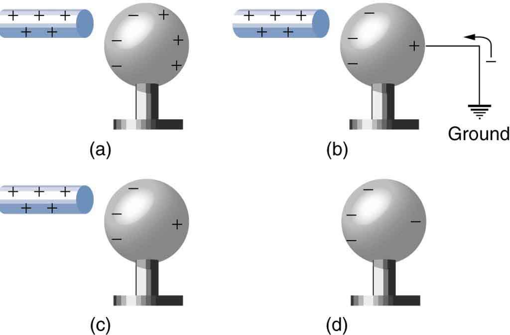 In part a, a rod with positive sign is brought near a neutral metal sphere. One surface toward the rod has negative signs and the other surface has positive signs. In part b, a rod with positive sign is close to one surface of the sphere having negative signs and the other surface has low number of positive signs and a wire is attached to that face which is connected to the ground. In part c, a rod with positive sign is close to one surface of the sphere having negative signs and the other surface has low