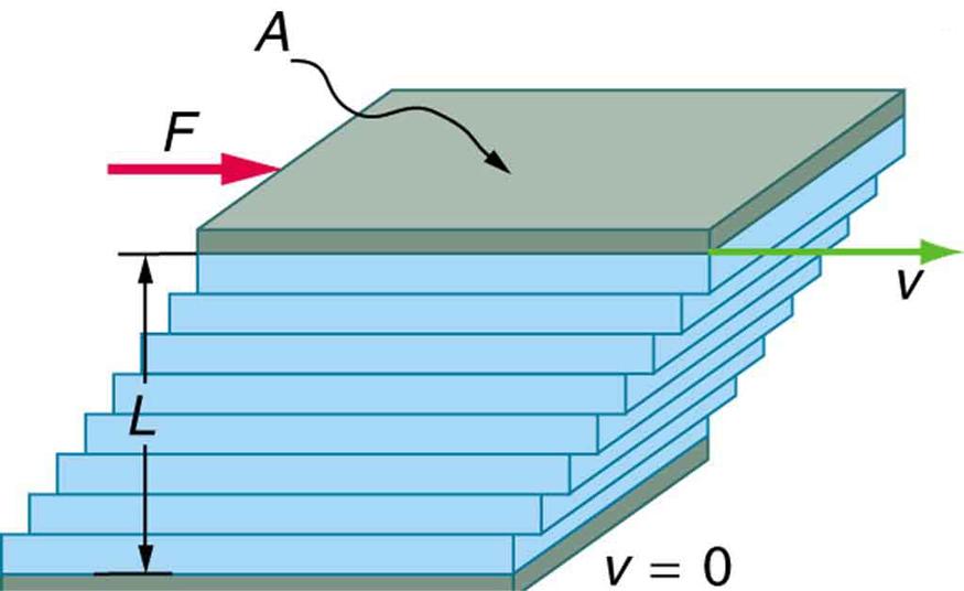 The figure shows the laminar flow of fluid between two rectangular plates each of area A. The bottom plate is shown as fixed. The distance between the plates is L. The top plate is shown to be pushed to right with a force F. The direction of movement of the layer of fluid in contact with the top plate is also toward right with velocity v. The fluid in contact with the plate in the bottom is shown to be in rest with v equals zero. As we see through the layers above the one on the bottom plate, each show a 