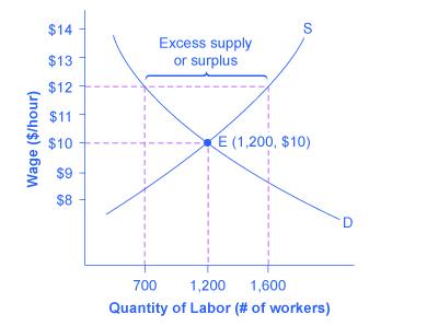 The graph shows how a price floor results from an excess supply of labor.