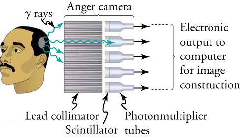 The figure shows the working of an Anger camera (or gamma camera) with the input rays on the left, camera in the centre and output on the right (which is used for image construction).