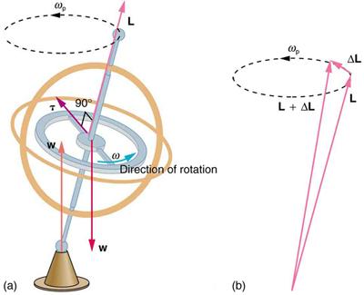 In figure a, the gyroscope is rotating in counter clockwise direction. The weight of the gyroscope is acting downward. The supportive force is acting at the base. The line of action of the weight and supportive force are different. The torque is acting along the radius of the horizontal circular part of gyroscope. In figure b, the two vectors L and L plus delta L are shown. The vectors start from a point at the bottom of the figure and terminate at two points on a horizontal dotted circle, directed in cou