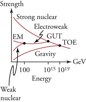 This graph plots the strengths of different forces (on the vertical axis) against their energies (on the horizontal axis). The graph shows a series of distinct lines, labeled gravity, weak nuclear, electromagnetic (EM), and strong nuclear, converging from the left to the right. The lines labeled EM and weak nuclear converge at an energy of 100 GeV and form a new line labeled electroweak. The lines labeled electroweak and strong nuclear converge at 1015 GeV. The location of their convergence is labeled GUT