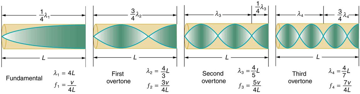 There are four tubes, each of which is closed at one end. Each tube has resonance waves reflected at the closed end. In the first tube, marked Fundamental, the wavelength is long and only one-fourth of the wave is inside the tube, with the maximum air displacement at the open end. In the second tube, marked First overtone, the wavelength is slightly shorter and three-fourths of the wave is inside the tube, with the maximum air displacement at the open end. In the third tube, marked Second overtone, the wa